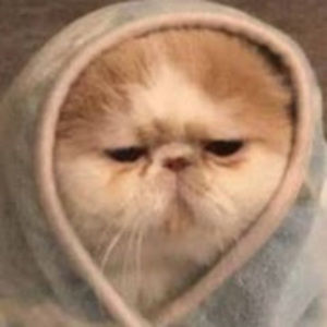 Meet your Posher, S1rvbry